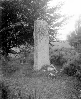 View of standing stone at north-east cairn.