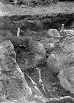 View of excavated grave.