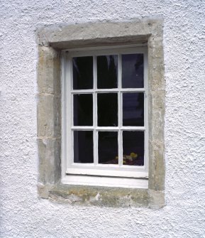Detail of specimen lower window