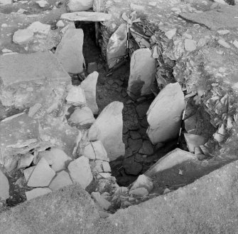Excavation Photograph JXWP Corcoran