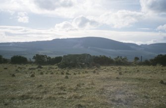 The recumbent setting from the rear