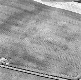 Oblique aerial view of Priest Bank centred on a subcircular cropmark.  Taken from the NE.