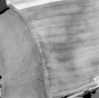 Oblique aerial view of Garvald centred on the cropmark of an enclosure.  Taken from the NE.