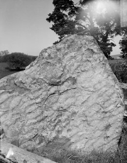 Boar Stone