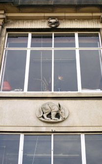 View of medallion containing an aardvark, on facade of building. Departmeant of Zoology, Kings Buildings, Edinburgh.