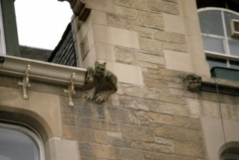 View of carving of a cat-like creature with large feet, above 55-57 Cockburn Street.