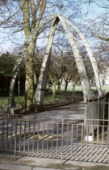 View of Jawbone Arch.