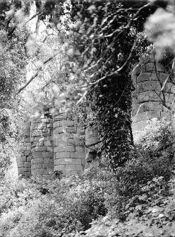 Detail of buttresses on fifteenth century wall.