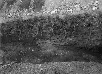 Excavation photograph (at NO 167 402): detail of turfwork