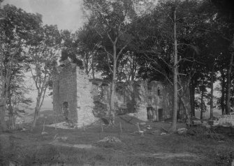 View of tower-house from the south showing structure before the removal of the trees.