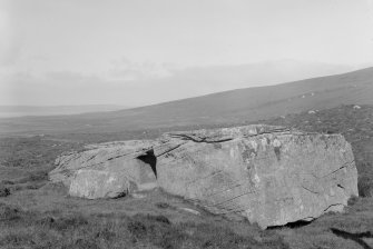 General view.