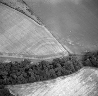 Oblique aerial view of Redhouse Dean fort.