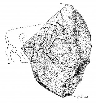 Drawing of Burghead bull slab no.6