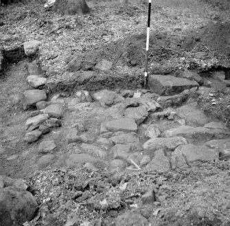 Excavation of Roman road - looking N along W edge of footings.