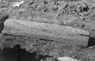 View of hogback stone.