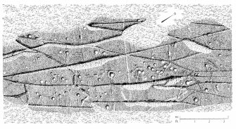 Publication drawing; cup and ring marked rock, Cairnbaan 1. Photographic copy.