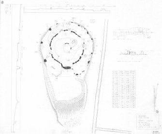 RCAHMS survey drawing: Plan, elevation and sections of Aquhorthies recumbent stone circle