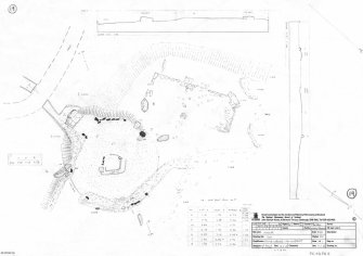 RCAHMS survey drawing: Plan and sections of Auchlee stone circle