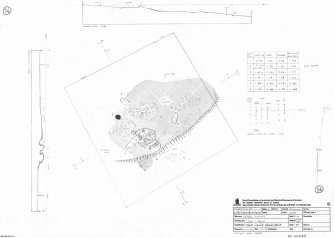 RCAHMS survey drawing: Plan, elevation and sections of Nether Dumeath stone circle.