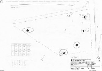 RCAHMS survey drawing: Plan, elevation and sections of St Brandan's Stanes stone circle