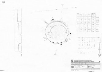 RCAHMS survey drawing: Plan, elevation and sections of Doune of Dalmore stone circle