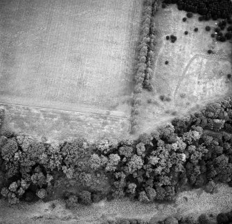 Oblique aerial view of Whittingehame Castle centred on the cropmarks of a fort, taken from the SE.