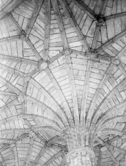 Interior. Detail of ceiling.