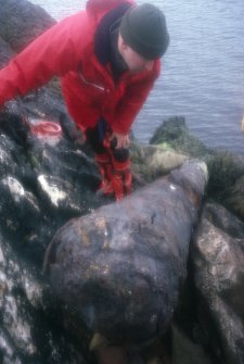 Photograph of retrieved cannon from the remains of the wreck site of the Kennemerland by the Archaeological Diving Unit (ADU).