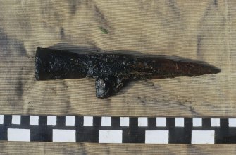 Wrought-iron light hammer from the wreck-site. Scale in centimetres and inches.