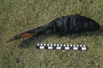 Heavily reduced wrought-iron anchor arm and crown, showing the grain of the wrought-iron structure. Scale in centimetres and inches.