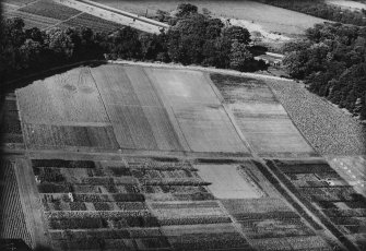 Dobbie and Co. Melville Nurseries, Gilmerton Road, Edinburgh.  Oblique aerial photograph taken facing north.  This image has been produced from a print.