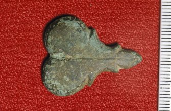 Maritime photographs: Object, possible brass fitting, recovered by the Archaeological Diving Unit (ADU) during investigations of the wreck off Duart Point. 
