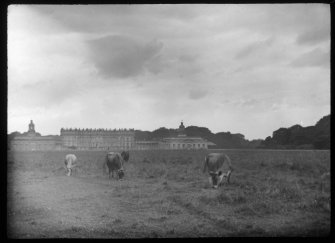 Hopetoun House.
View from East with cows in foreground.