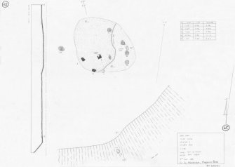 RCAHMS survey drawing: Plan, elevation and section of Deer Park Stone Circle