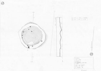 RCAHMS survey drawing: Plan, elevation and section of Fullerton Stone Circle.