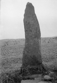 Standing Stone near Spott, Haddingtonshire