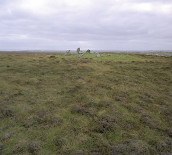 General view of Chambered Cairn taken from the south west.