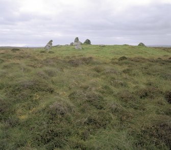 General view of Chambered Cairn taken from the south.
