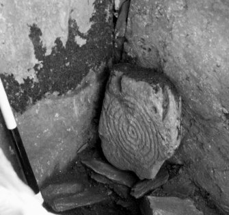 View of carved stone in Cairnholy chambered cairn.