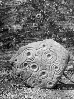 View of cup and ring marked stone, Dunnichen.