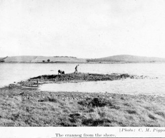 The crannog from the shore.
