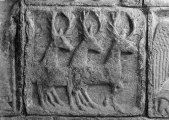 Detail of panel showing three stags on the sculptured tomb to Alexander Macleod, St Clement's Church, Rodel, Harris.