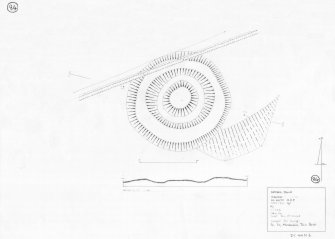 400dpi scan of DC44516 RCAHMS Plan and section