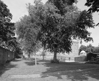 E House. Walled garden. General view from SSW