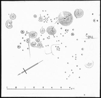 Measured drawing of cup and ring marks.