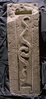 Strathmartine no 2 recumbent graveslab. View showing two serpents and spiral border decoration