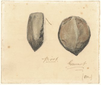 Drawing of flint pivot found at Dunnet Churchyard, signed by John Nicolson