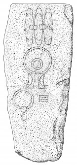Scanned ink drawing of Sandside House Pictish symbol stone, Sandside House 1