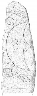 Scanned ink drawing of Craigton Pictish symbol stone