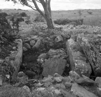 Essich Moor, chamber in north cairn from north.